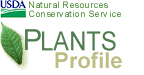 PLANTS Profile Logo