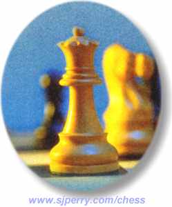 Computer Chess Software