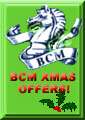 Special Christmas Offers!