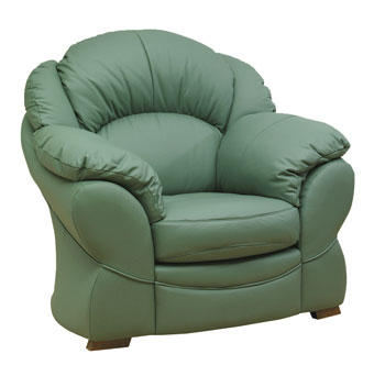 Steinhoff UK Furniture Ltd Maxine Leather Armchair - Fast Delivery product image
