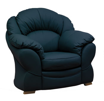 Steinhoff UK Furniture Ltd Maxine Leather Armchair product image