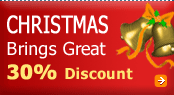 Christmas Brings Great 30% Discount