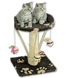 Cat Scratching Seat with Tree product image