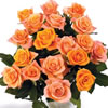 Flowers and Flower Delivery cheap prices , reviews, compare prices , uk delivery