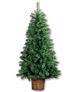 Christmas Trees cheap prices , reviews , uk delivery , compare prices