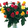 Post-a-Rose 18 Classic Mixed Roses product image
