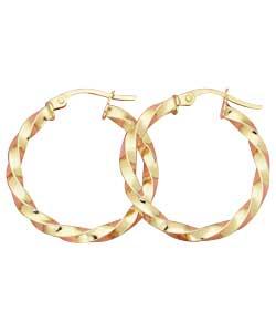 Unbranded 9ct Gold Round Wavy Hoop Earrings