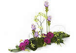 Flowergram Opus product image
