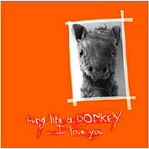 Looking At Card - Donkey product image