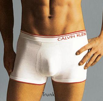 Calvin Klein Pro Seamless White Trunk product image