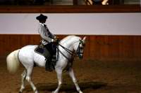 The Royal School of Equestrian Art near Seville in Spain