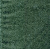 Plain Green Velvet Cloth (no suits)