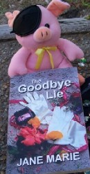 Goodbye Lie video