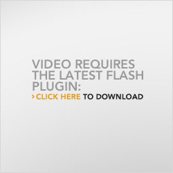 Video requires the latest Flash plugin