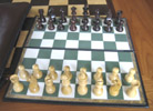 The ChessMate® TravelMate Deluxe