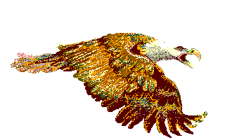 eagle10.gif - 7,195