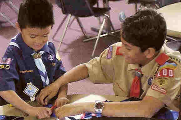 Den Chief and Cub Scout