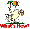 What's New ? Sheep gif